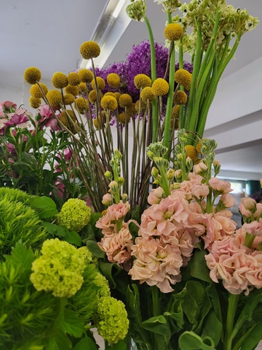 Sommerblumen Hannover